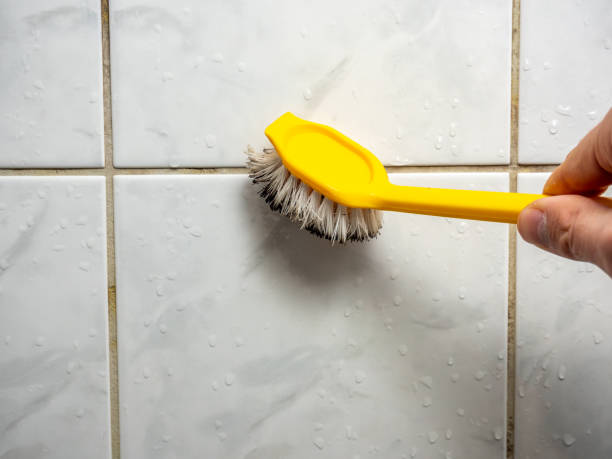 Best Health and Safety Mold Remediation in Lincolnia, VA