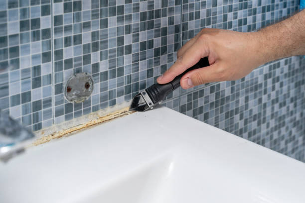 Best Post-Remediation Services in Lincolnia, VA